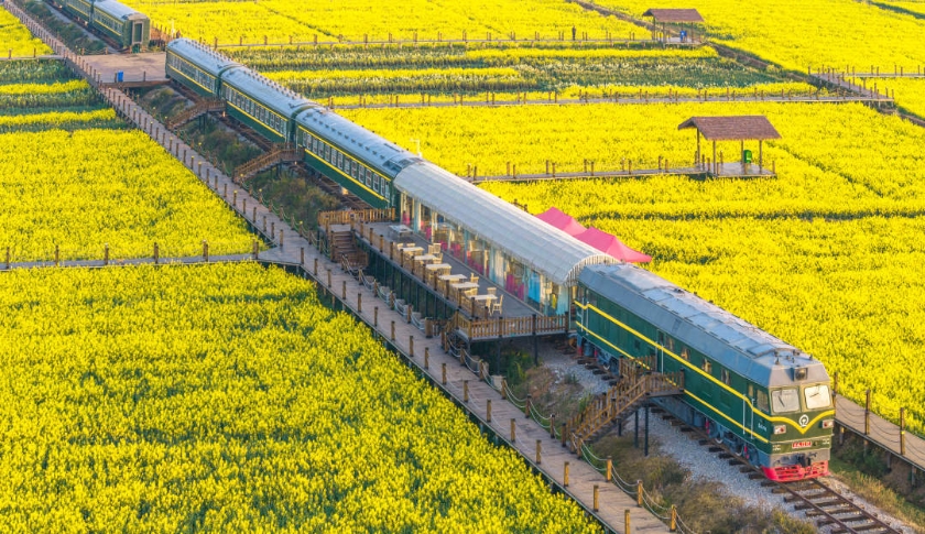 云南省文化和旅游厅