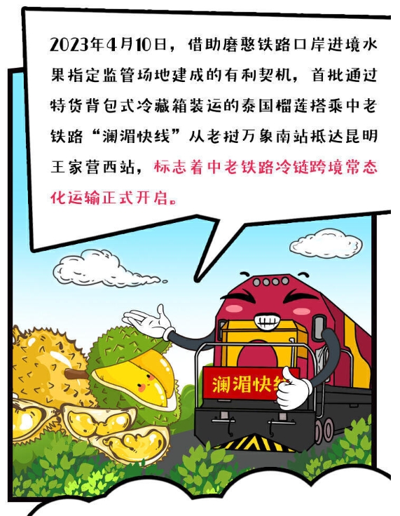 微信截图_20241205164940