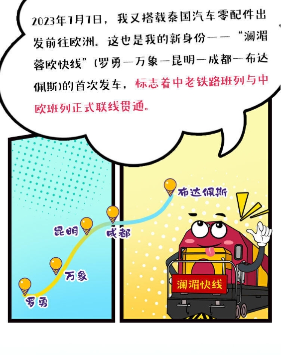 微信截图_20241205165122