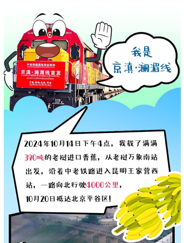 微信截图_20241205165143