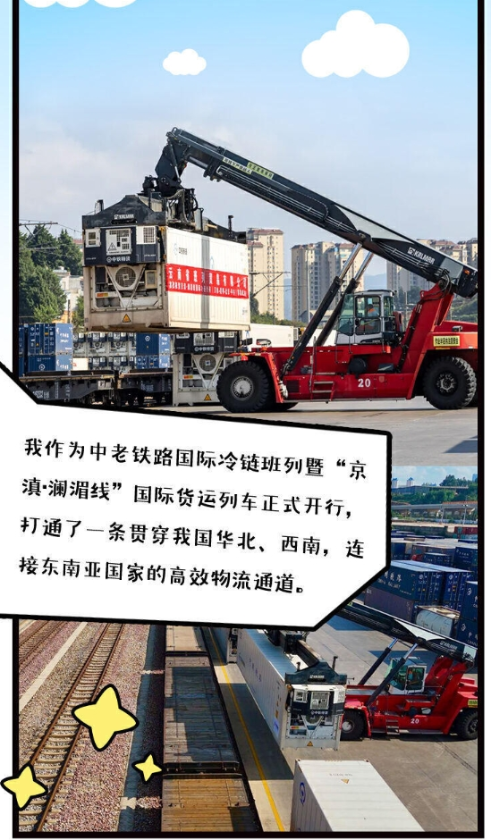 微信截图_20241205165221