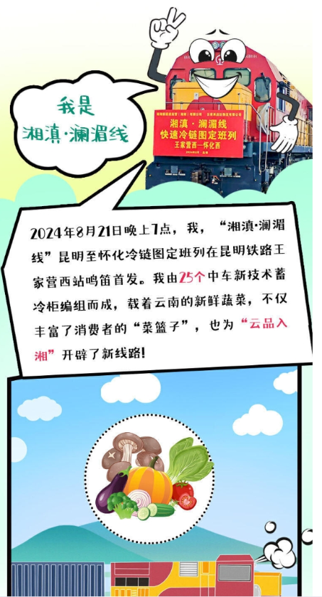 微信截图_20241205165237
