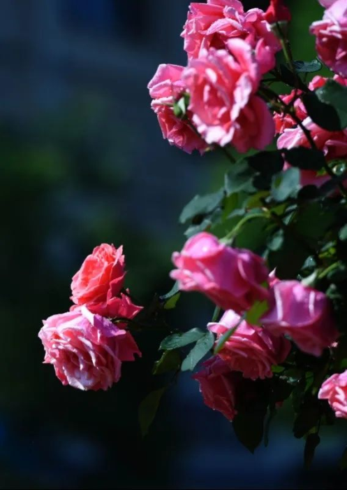 eb6f2359a2eda7d37c78a002443f0fb