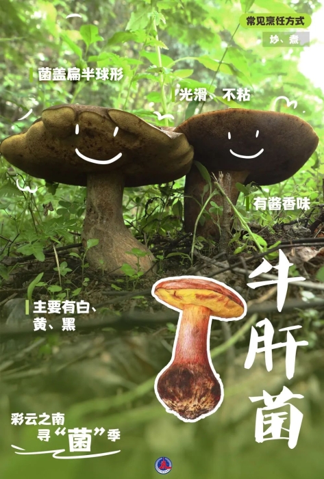 微信图片_20250519150657