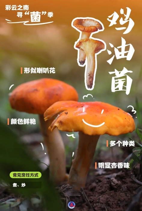 微信图片_20250519150649