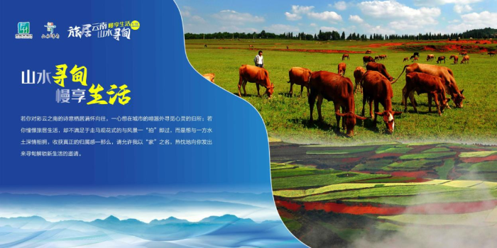 微信图片_20250617143828