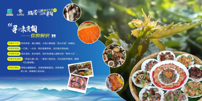 微信图片_20250617143845 - 副本