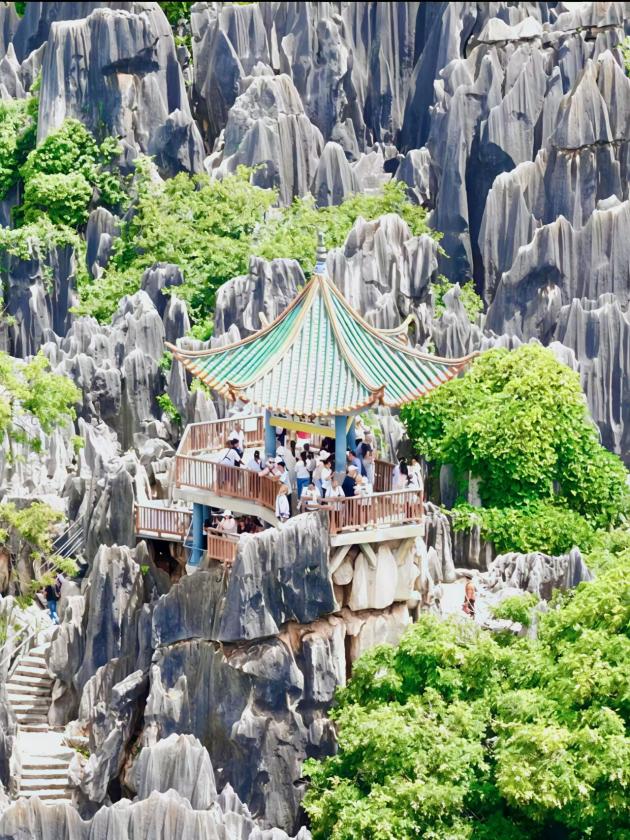 f76c7144-e24f-44f2-9bcf-fa965796d8c3