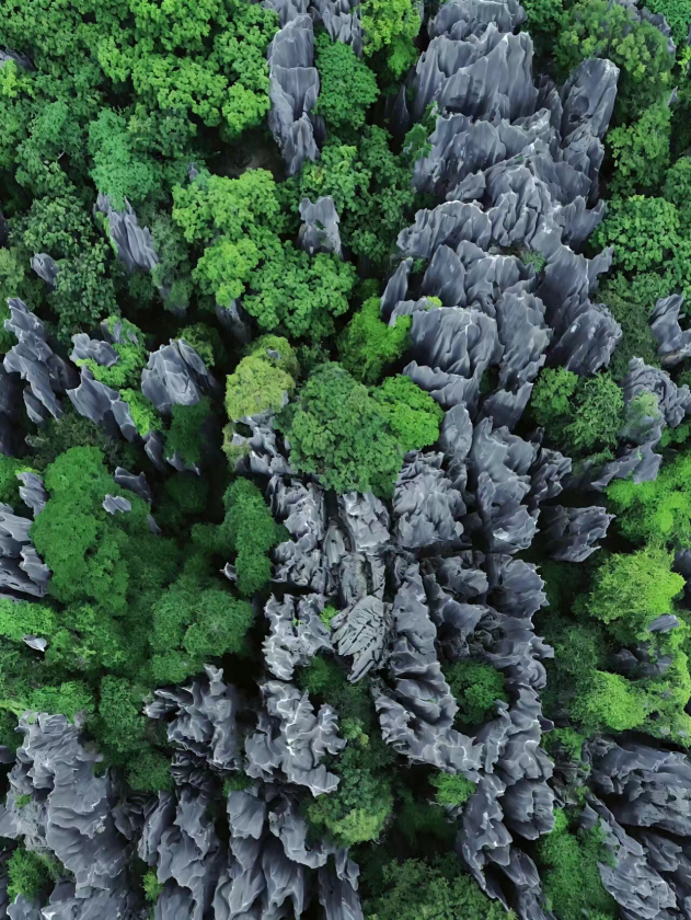 ab9dce6f-5a49-4e50-ac2d-0eb29c321864