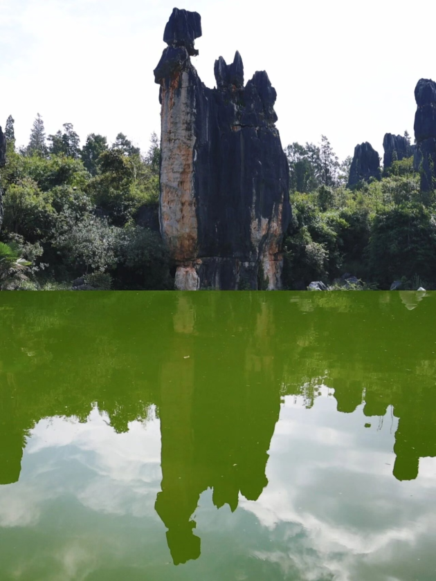 e25713ec-ff1c-46ef-ad1a-b4c791a5e065