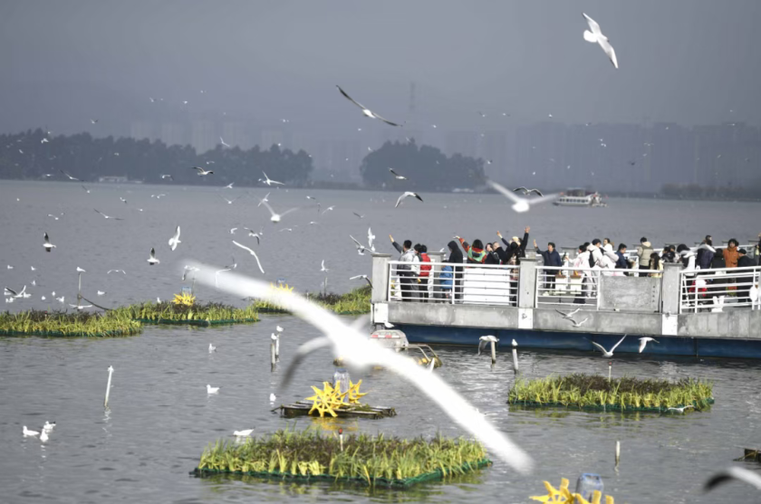 037056e2-5dbd-4971-bf7c-5f548805f24c