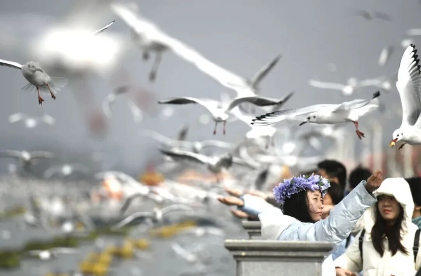 微信图片_2025-10-14_155748_162