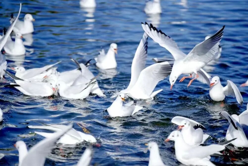 微信图片_2025-10-14_155812_242