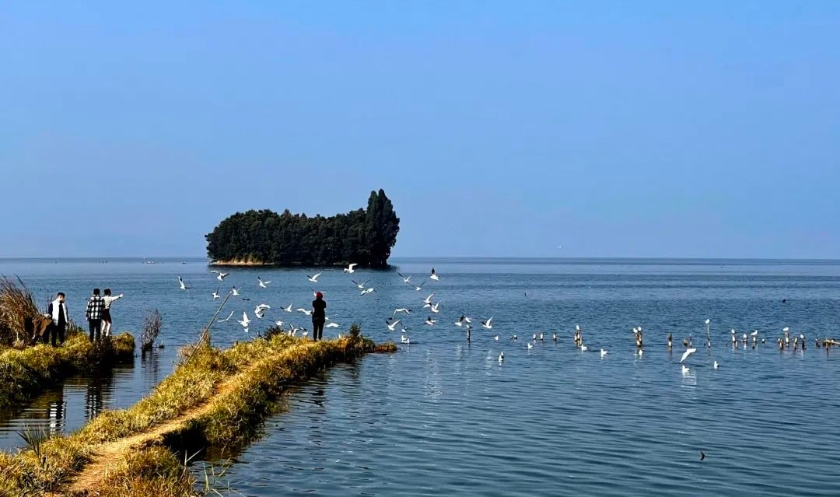 微信图片_2025-10-14_161039_770