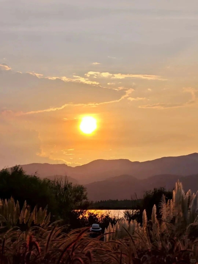 微信图片_2025-09-23_163611_415