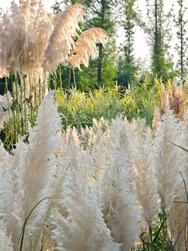 微信图片_2025-09-23_163619_722