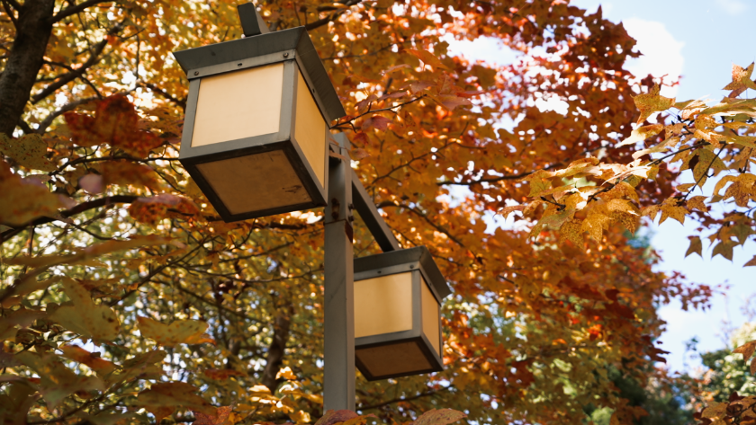 微信图片_2025-09-23_163628_586