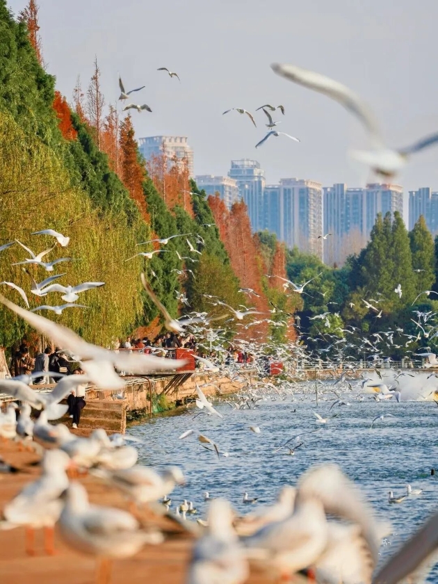 微信图片_2025-11-18_143143_666