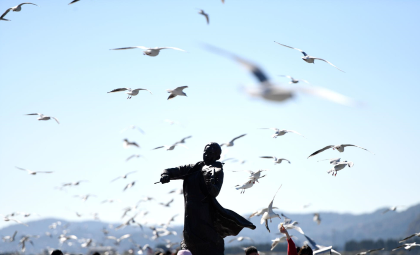 微信图片_2025-11-18_143111_554