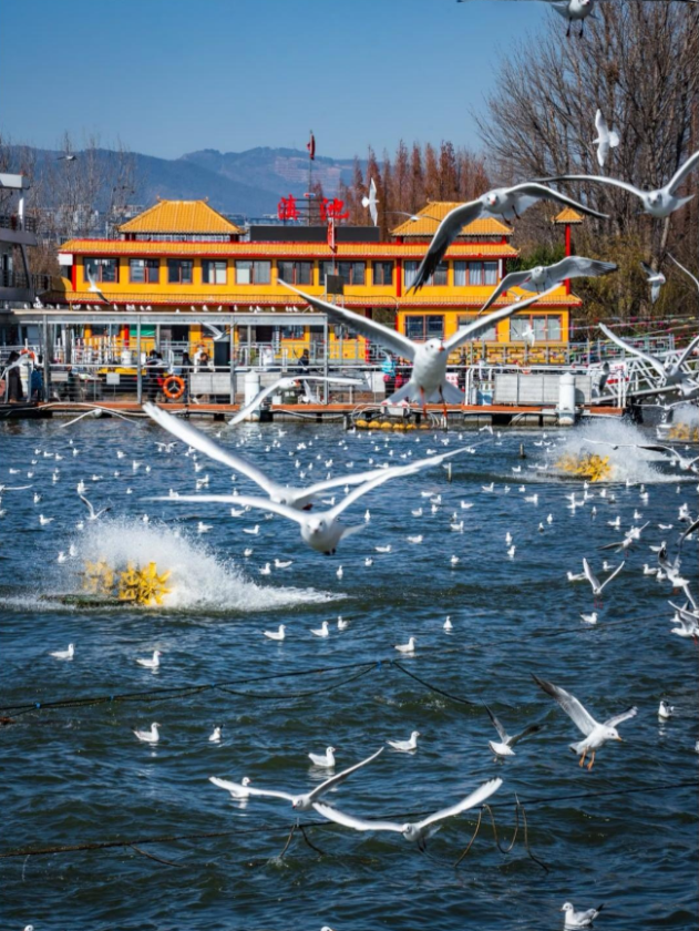 微信图片_2025-11-18_143129_451