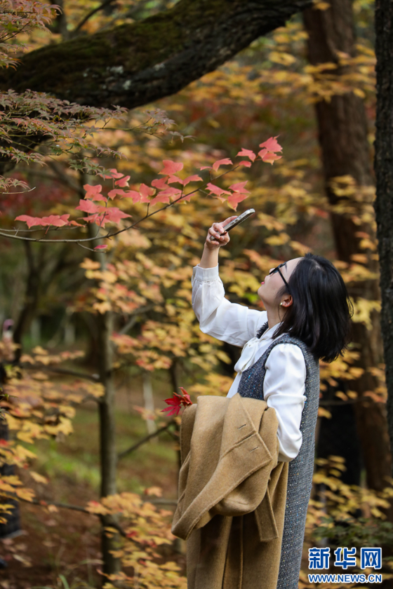 微信图片_2025-11-11_161251_696