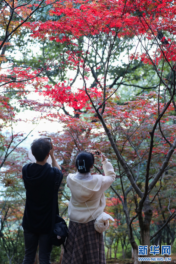 微信图片_2025-11-11_161257_007