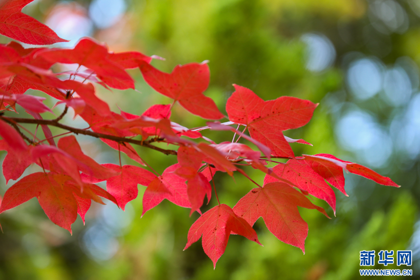 微信图片_2025-11-11_161300_057