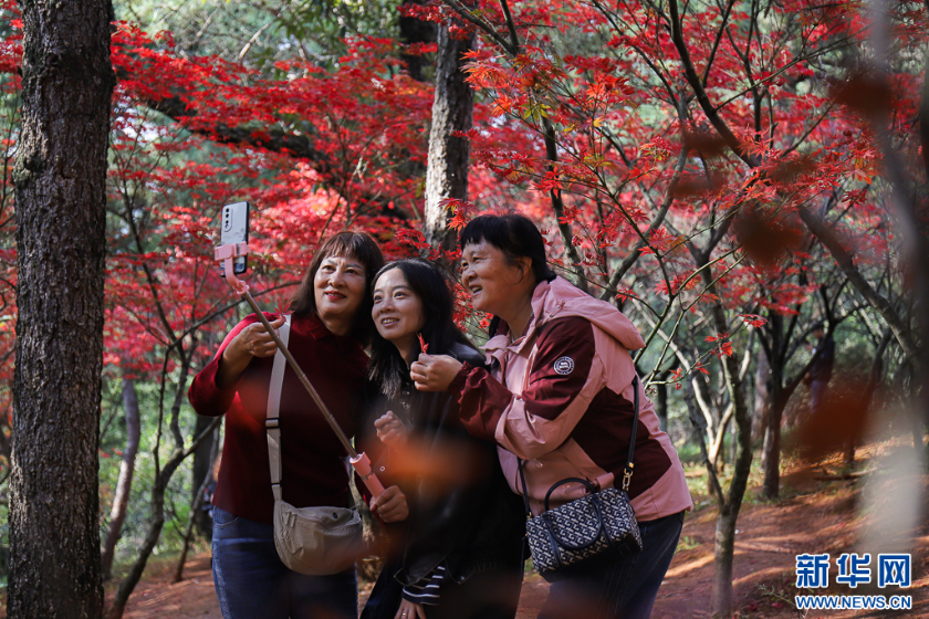 微信图片_2025-11-11_161303_288