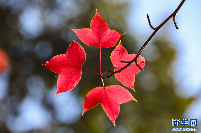 微信图片_2025-11-11_161306_177