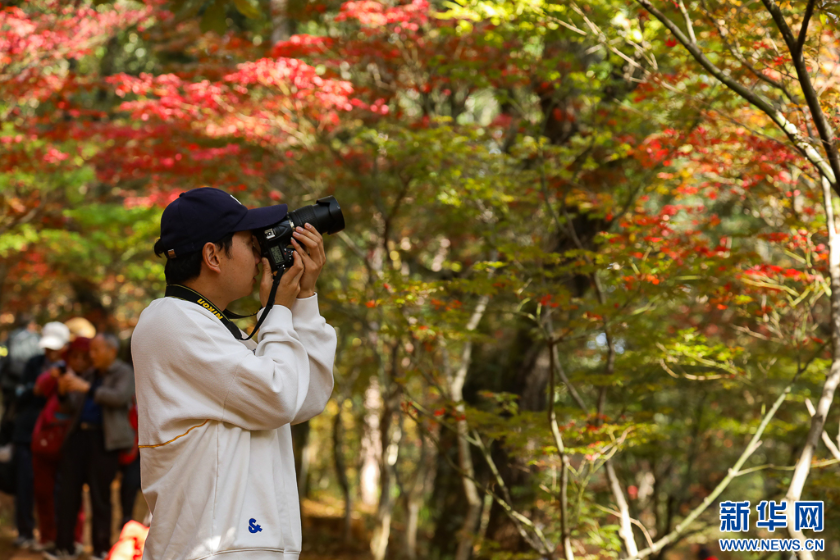 微信图片_2025-11-11_161309_136