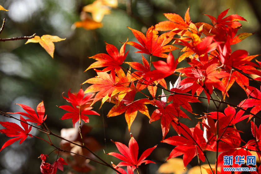 微信图片_2025-11-11_161313_799