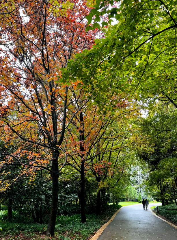 微信图片_2025-11-11_161331_344