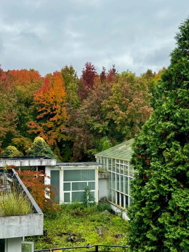 微信图片_2025-11-11_161343_223