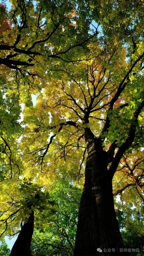 微信图片_2025-11-11_161348_864