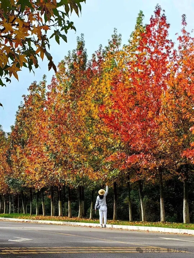 微信图片_2025-11-11_161449_192