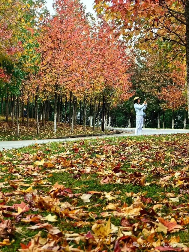 微信图片_2025-11-11_161452_127