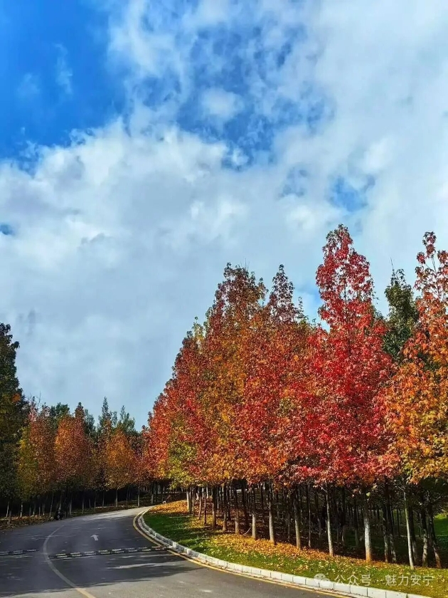 微信图片_2025-11-11_161455_143