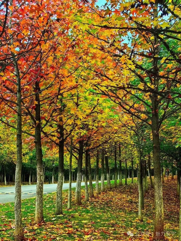 微信图片_2025-11-11_161457_816