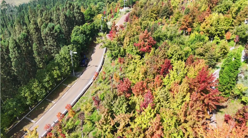 微信图片_2025-11-11_161506_640