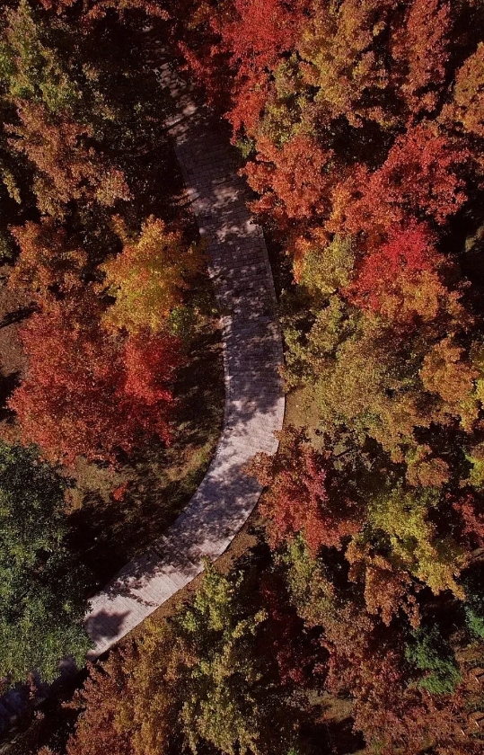 微信图片_2025-11-11_161518_872