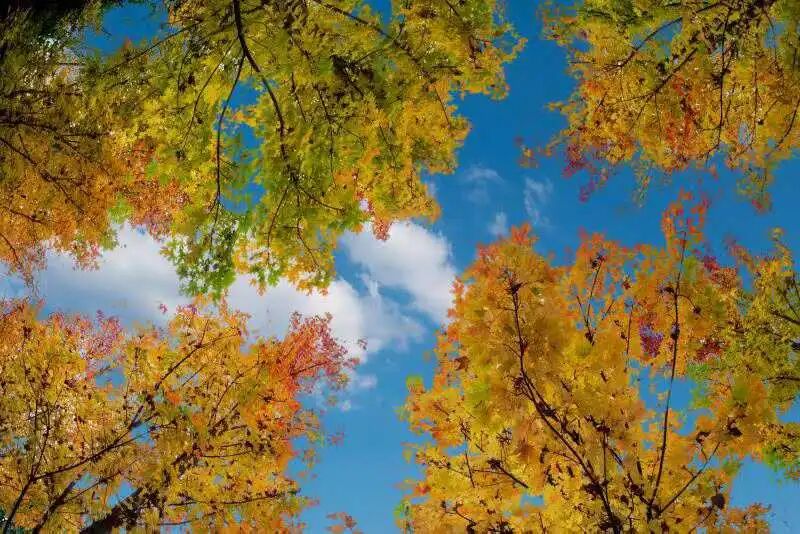 微信图片_2025-11-11_161542_728