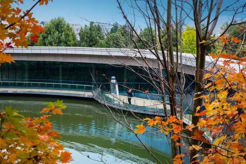 微信图片_2025-11-11_161545_929