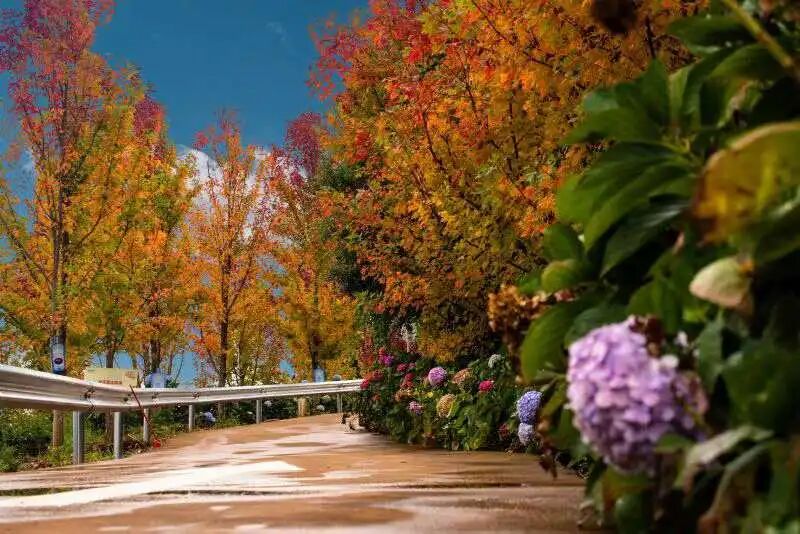 微信图片_2025-11-11_161548_727