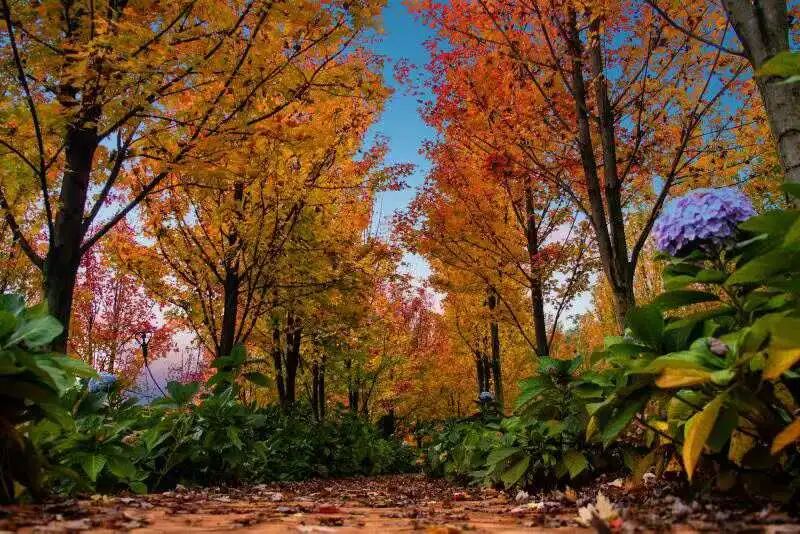 微信图片_2025-11-11_161553_657