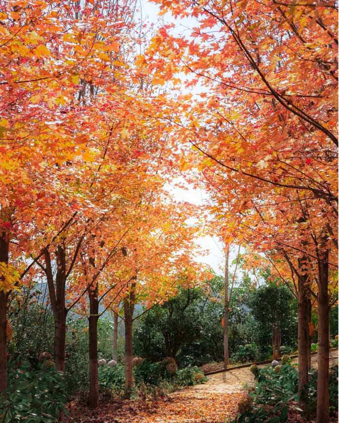 微信图片_2025-11-11_161608_704