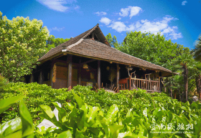 微信图片_2025-11-25_142408_005