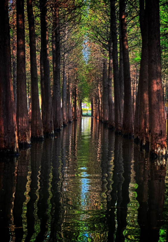 微信图片_2025-11-25_142417_101