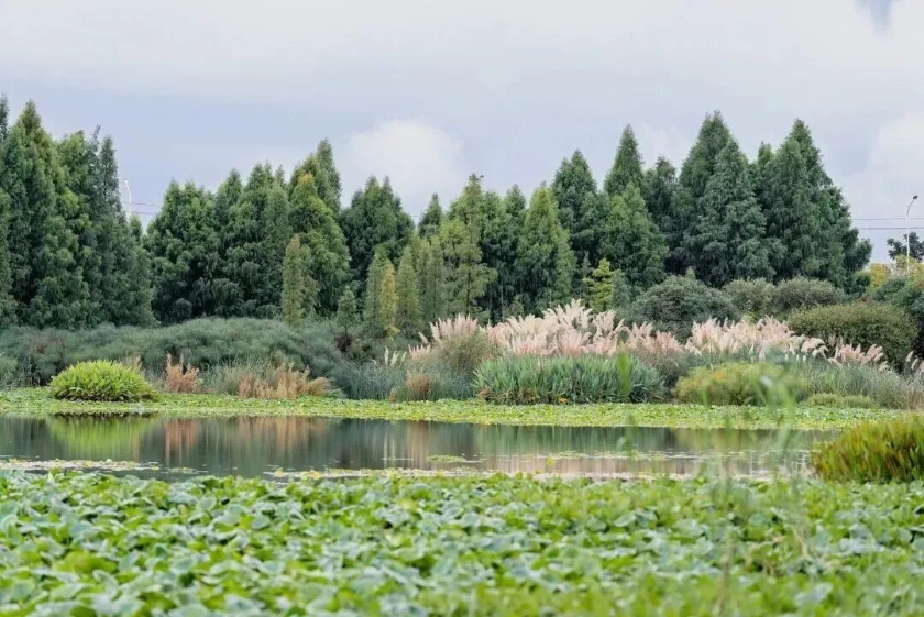 微信图片_2025-11-25_142423_078