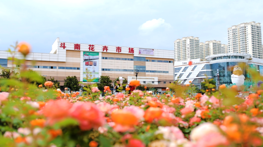 微信图片_2025-11-25_142426_376