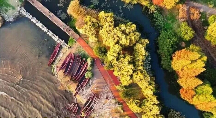 微信图片_2025-11-25_142443_838